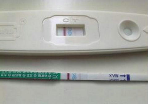 关于景泰生殖